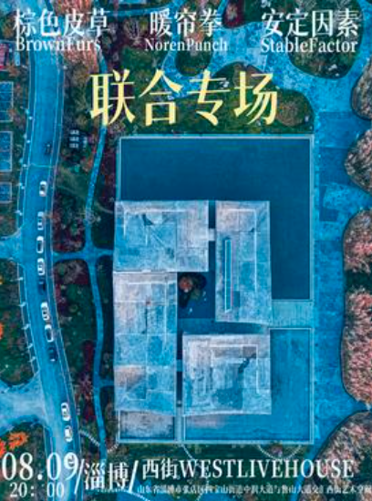 【淄博站】棕色皮草 暖帘拳 安定因素 淄博联合专场